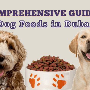 A Comprehensive Guide to Dog Foods in Dubai